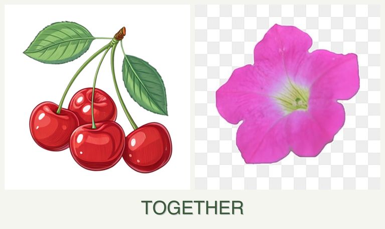Can you plant cherries and petunias together?