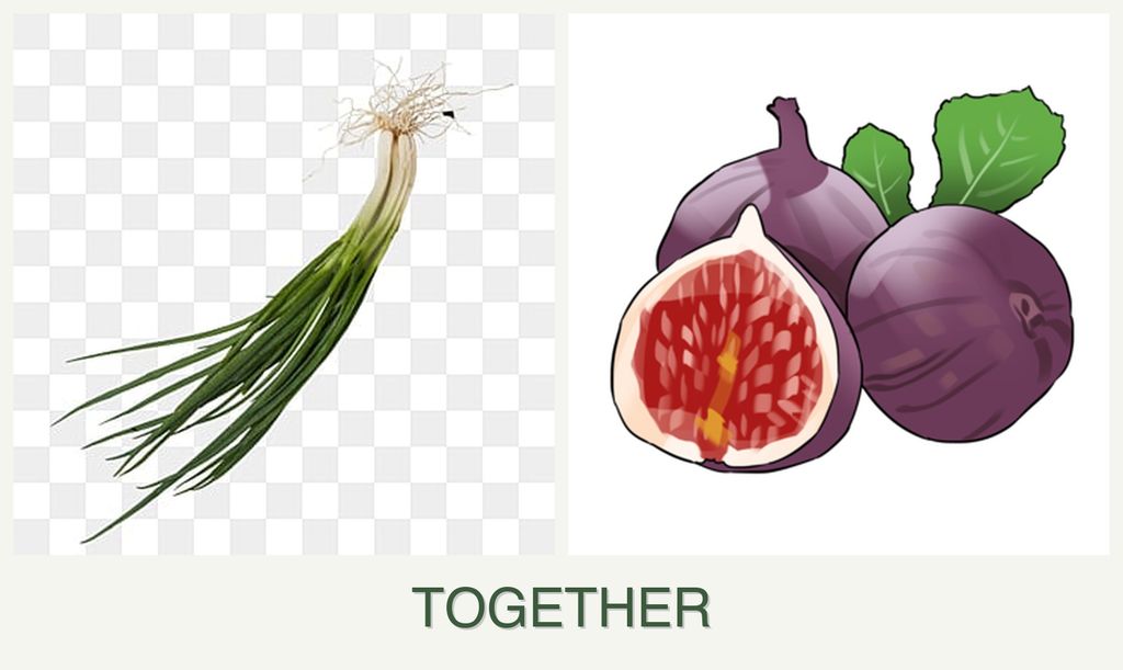 Can you plant chives and figs together?