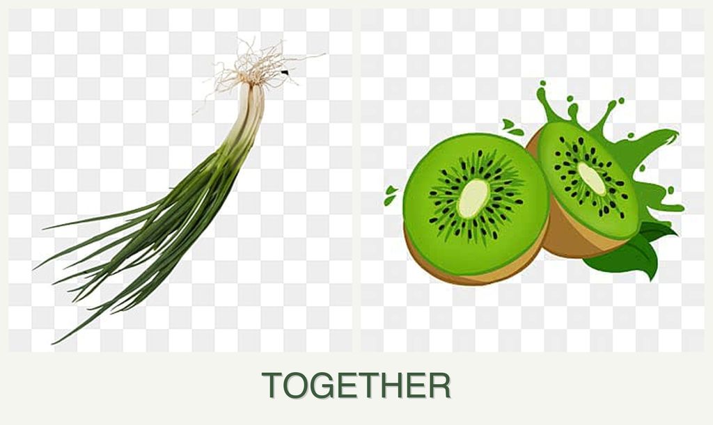 Can you plant chives and kiwi together?