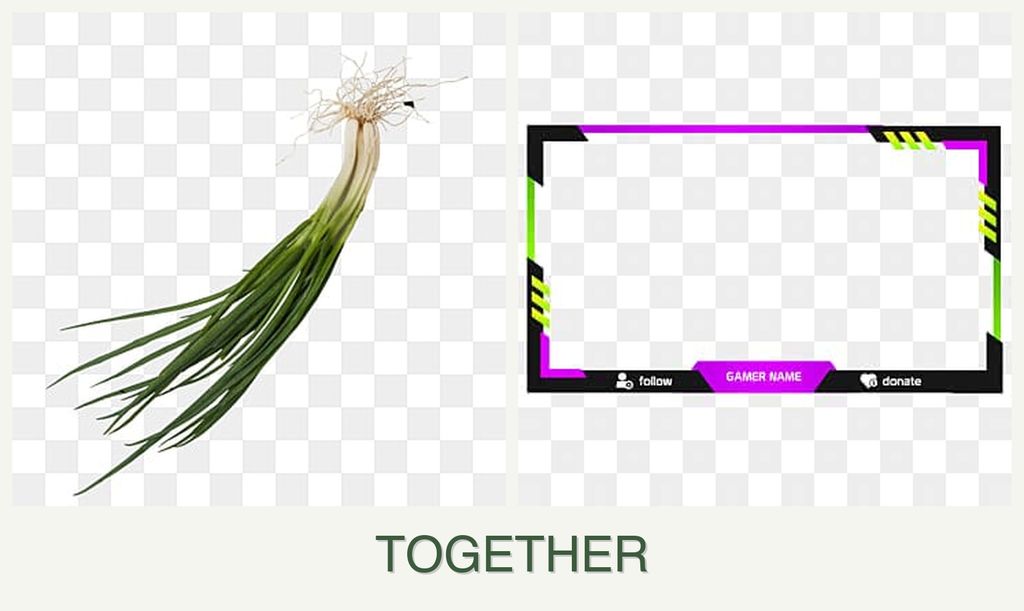 Can you plant chives and limes together?