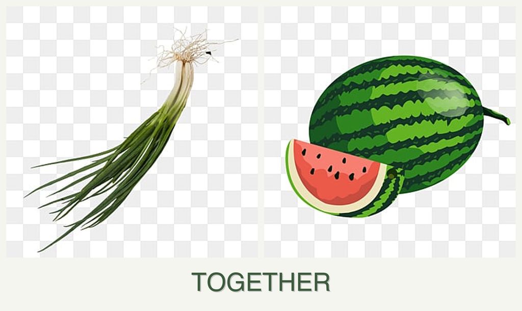 Can you plant chives and melons together?