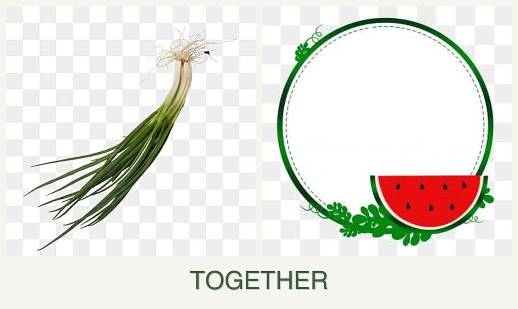 Can you plant chives and watermelons together?