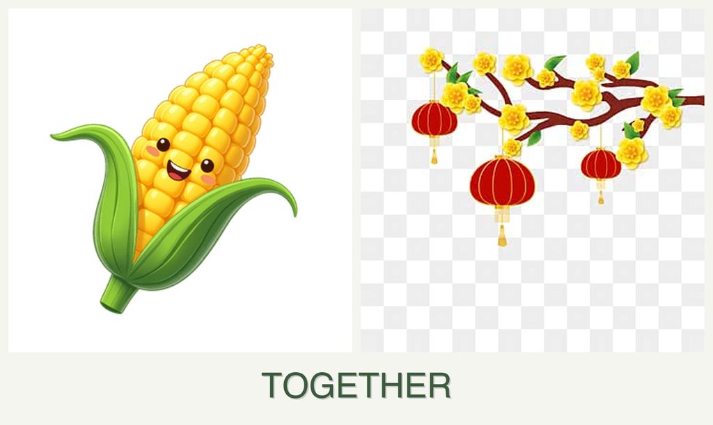 Can you plant corn and apricots together?