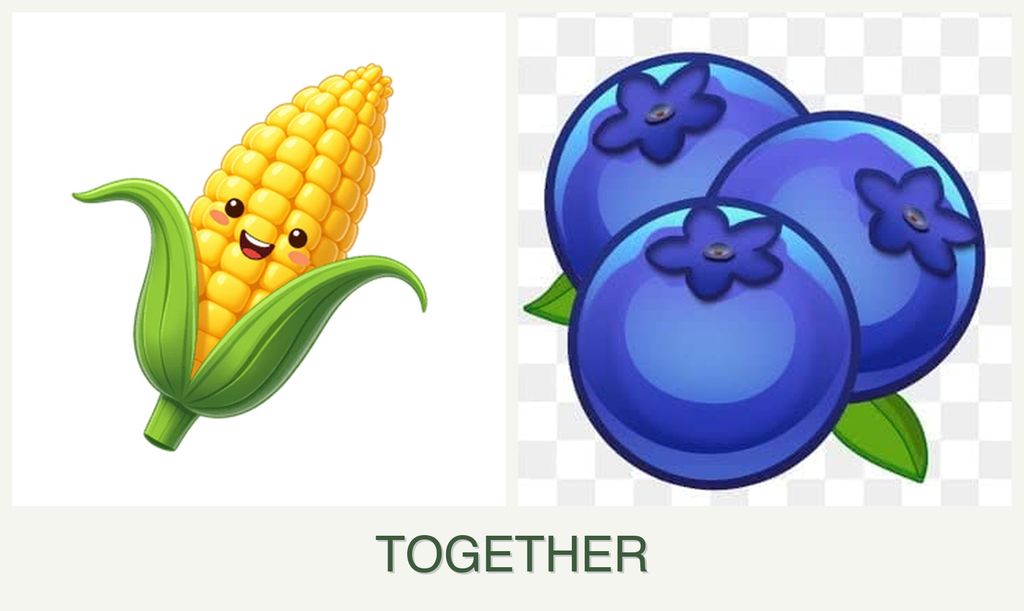 Can you plant corn and blueberries together?