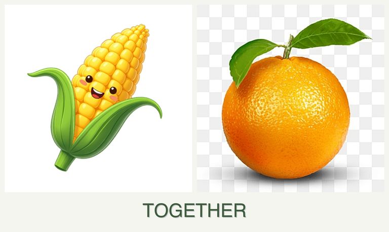 Can you plant corn and oranges together?