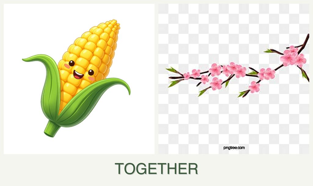 Can you plant corn and peaches together?