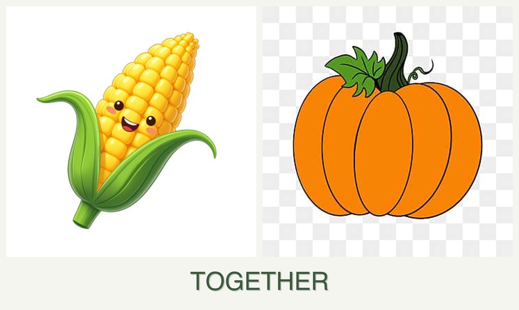 Can you plant corn and pumpkin together?