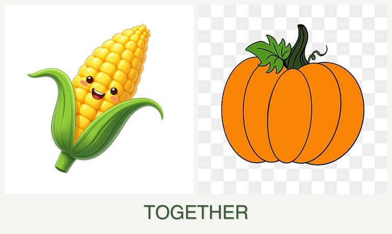 Can you plant corn and pumpkin together?
