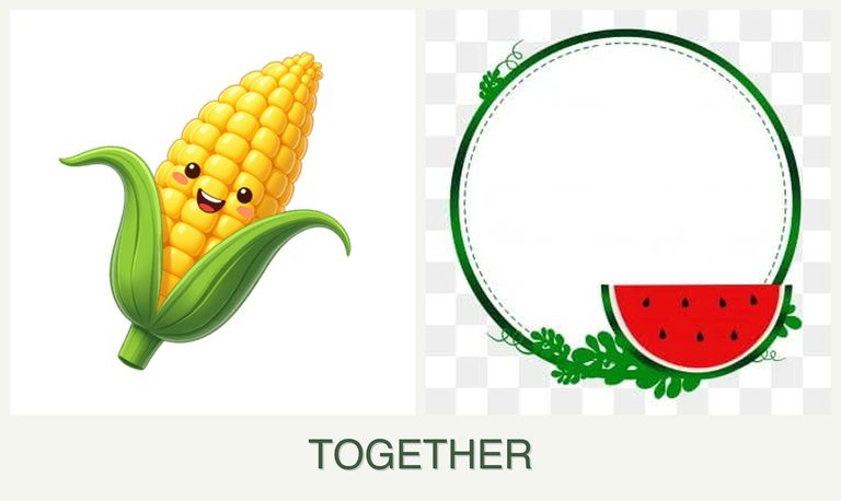 Can you plant corn and watermelons together?