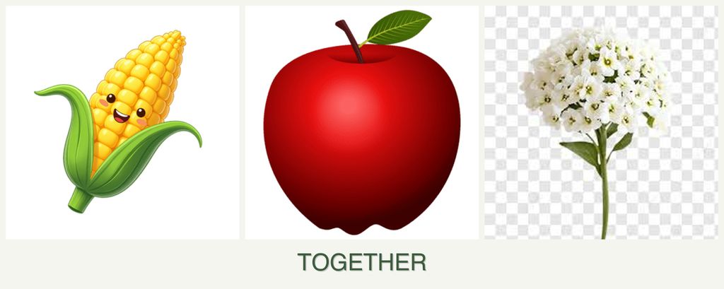 Can you plant corn, apples and alyssum together?