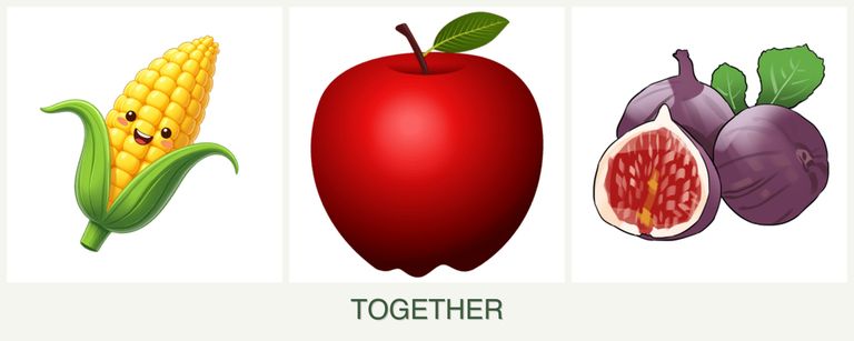 Can you plant corn, apples and figs together?