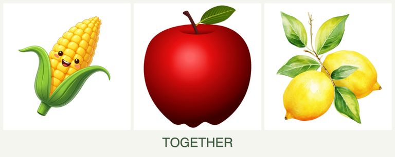 Can you plant corn, apples and lemons together?
