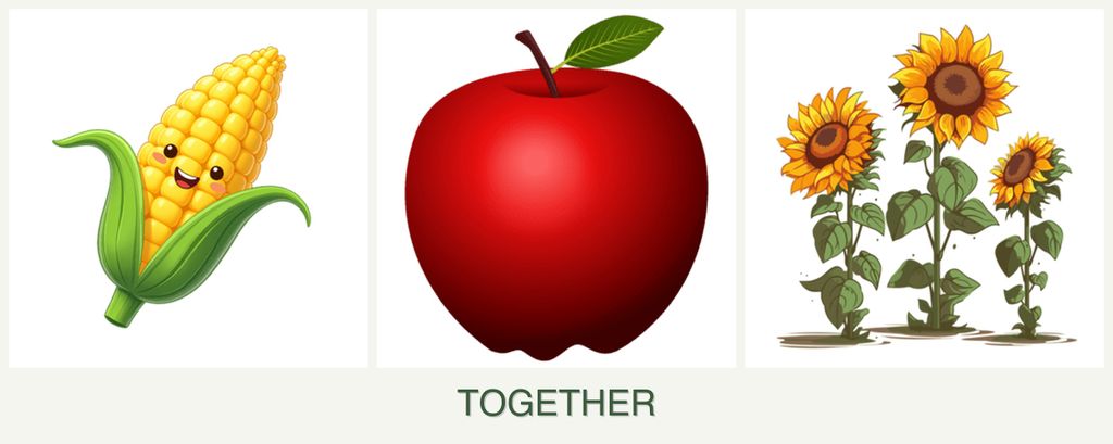 Can you plant corn, apples and sunflowers together?