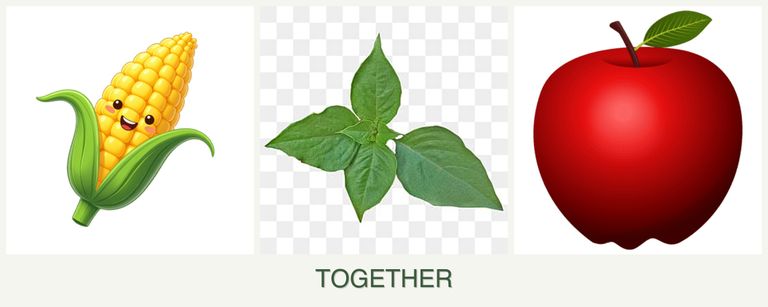 Can you plant corn, basil and apples together?