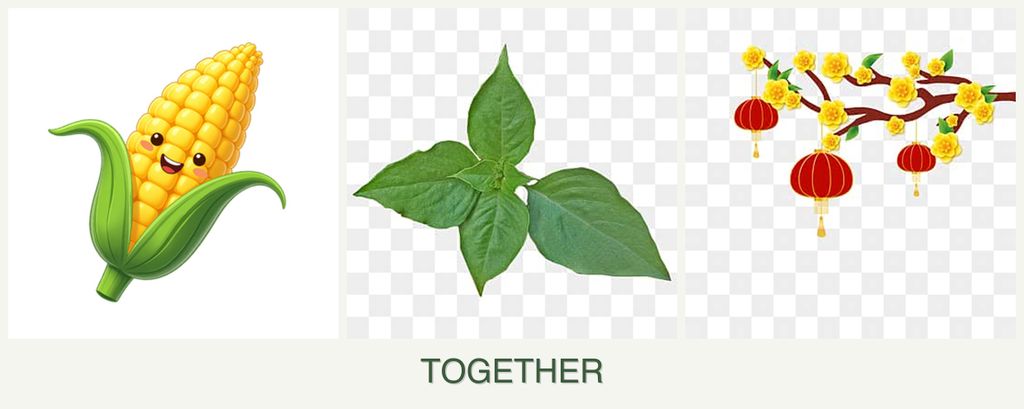Can you plant corn, basil and apricots together?