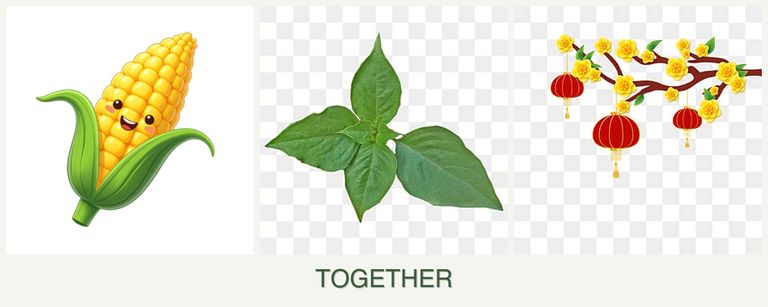 Can you plant corn, basil and apricots together?