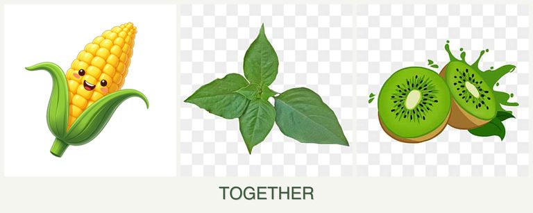 Can you plant corn, basil and kiwi together?