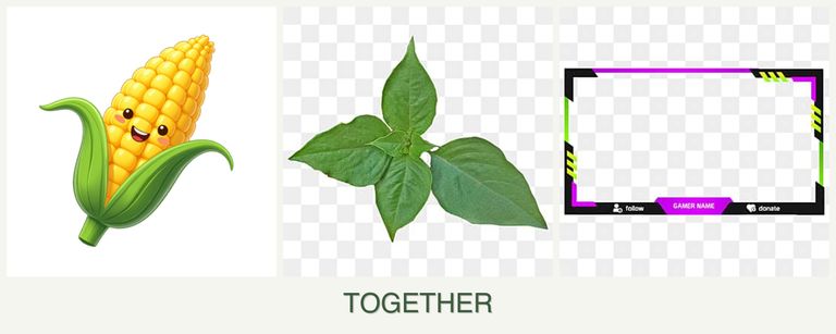Can you plant corn, basil and limes together?