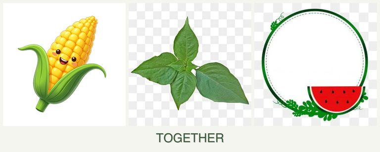 Can you plant corn, basil and watermelons together?