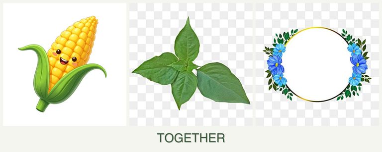 Can you plant corn, basil and zinnias together?