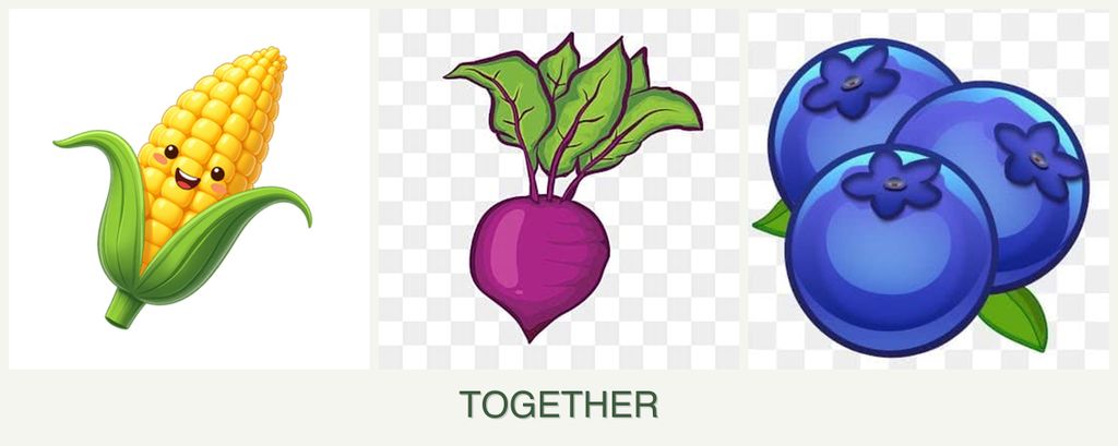 Can you plant corn, beets and blueberries together?