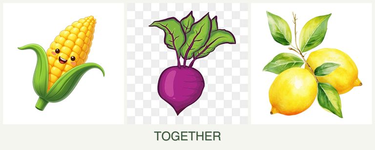 Can you plant corn, beets and lemons together?