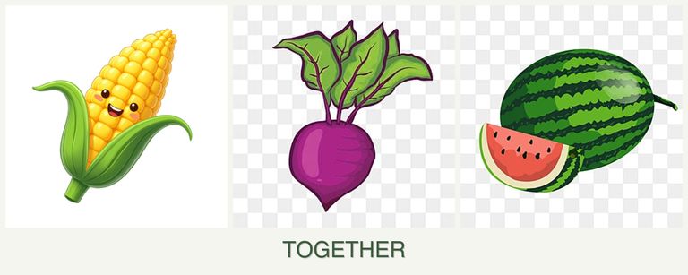 Can you plant corn, beets and melons together?