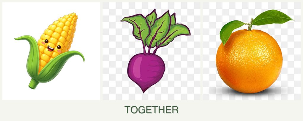 Can you plant corn, beets and oranges together?