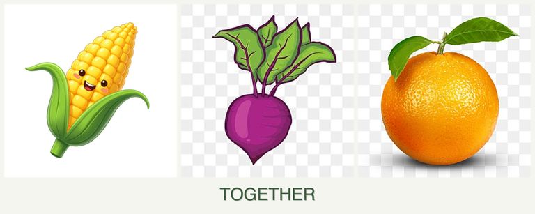 Can you plant corn, beets and oranges together?