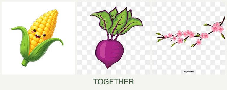 Can you plant corn, beets and peaches together?