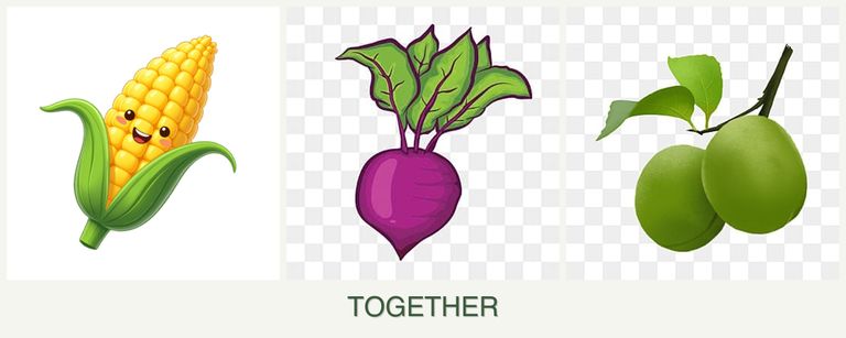 Can you plant corn, beets and plums together?