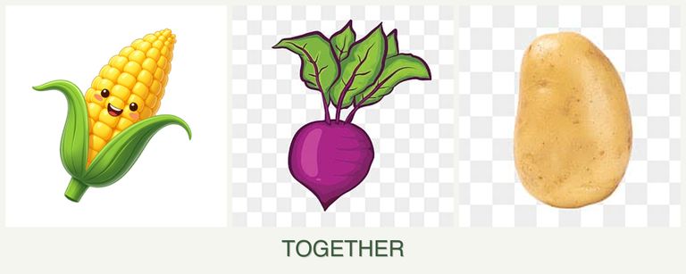 Can you plant corn, beets and potatoes together?