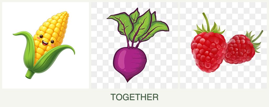 Can you plant corn, beets and raspberries together?