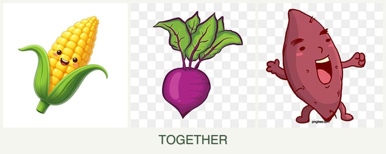 Can you plant corn, beets and sweet potatoes together?
