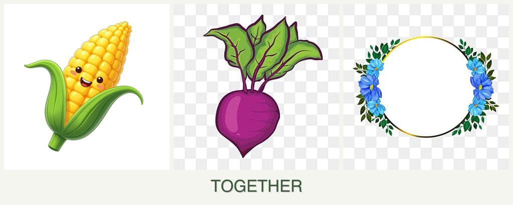 Can you plant corn, beets and zinnias together?