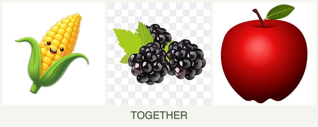 Can you plant corn, blackberries and apples together?