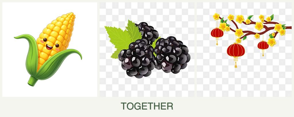 Can you plant corn, blackberries and apricots together?