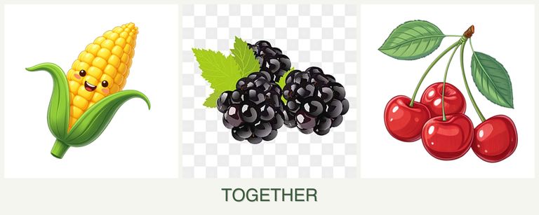 Can you plant corn, blackberries and cherries together?