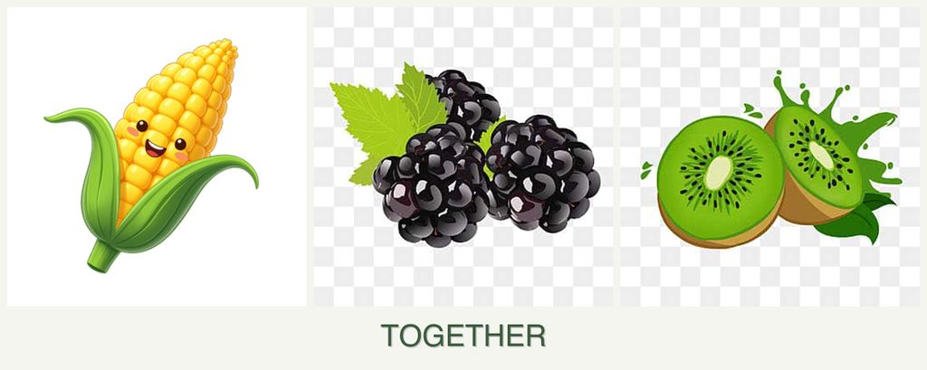 Can you plant corn, blackberries and kiwi together?