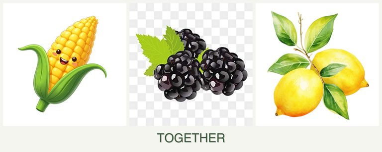 Can you plant corn, blackberries and lemons together?