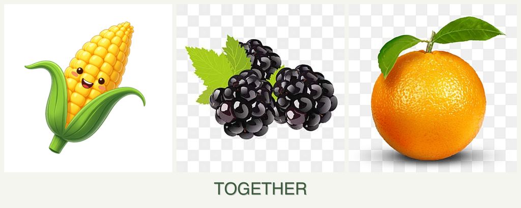 Can you plant corn, blackberries and oranges together?