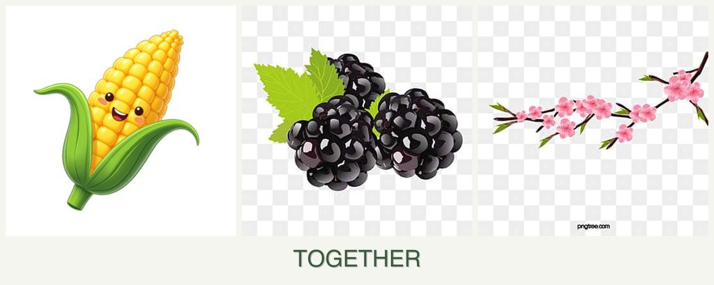 Can you plant corn, blackberries and peaches together?