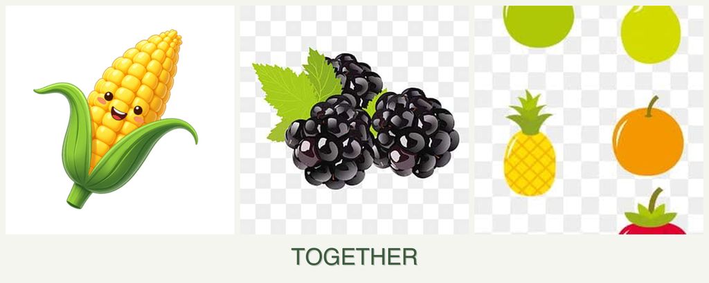 Can you plant corn, blackberries and pears together?