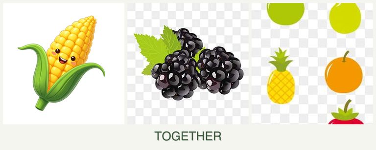 Can you plant corn, blackberries and pears together?