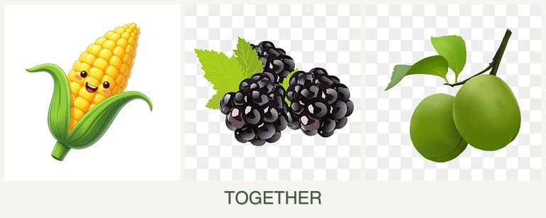 Can you plant corn, blackberries and plums together?