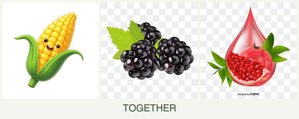 Can you plant corn, blackberries and pomegranates together?