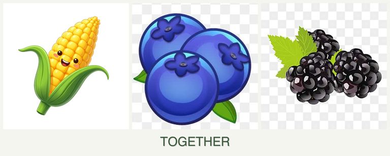 Can you plant corn, blueberries and blackberries together?