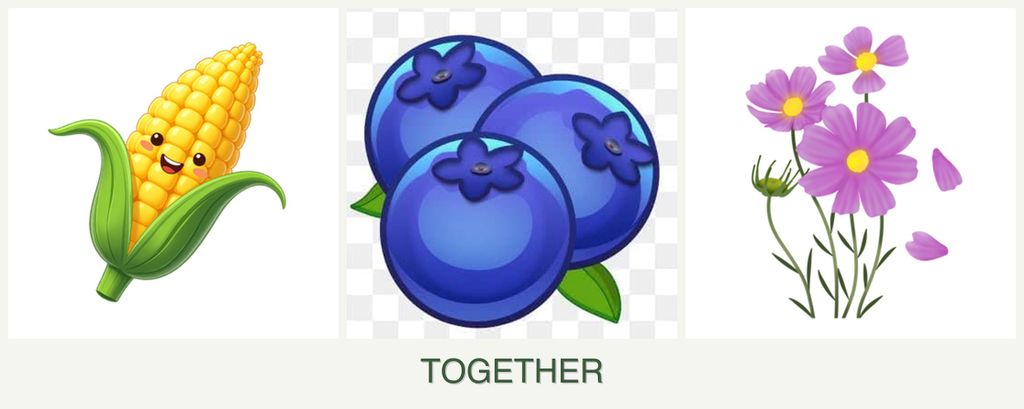 Can you plant corn, blueberries and cosmos together?