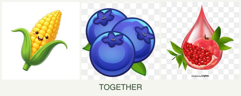 Can you plant corn, blueberries and pomegranates together?