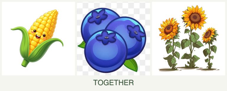 Can you plant corn, blueberries and sunflowers together?